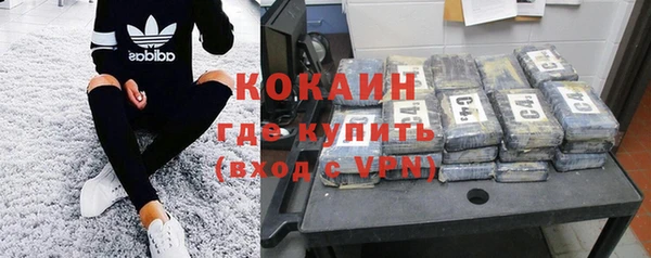 твердый Абаза